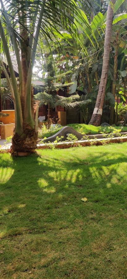 Tattvam On The - Retreat And 3* Arambol