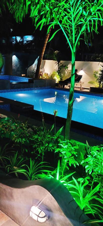 Resort Tattvam On The - Retreat And Arambol